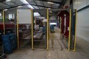 Aweta eggplant sorting machine