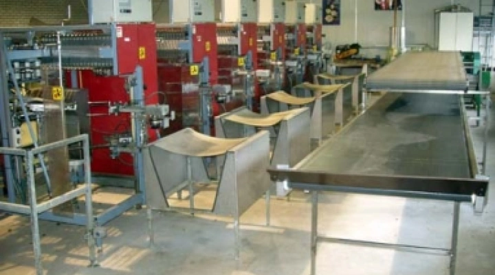 Aweta TRS rose bunching machines image 1
