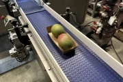 Bandall TRLS 24-25-77 banding machine double, fully automatically