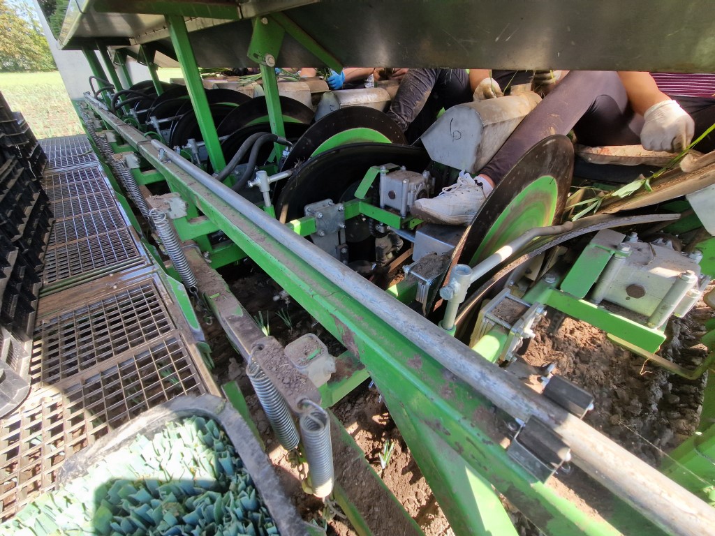 ������ ��� ����-����� Basrijs, 7 �����