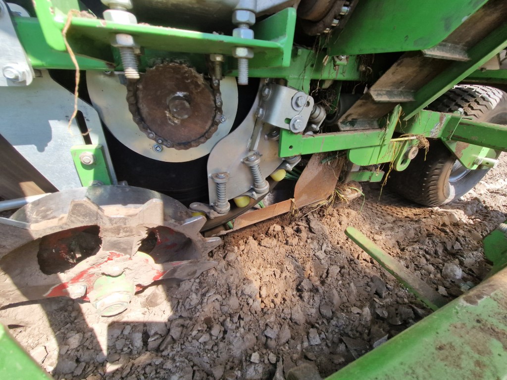 ������ ��� ����-����� Basrijs, 7 �����
