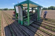 Basrijs leek planter with 7 rows