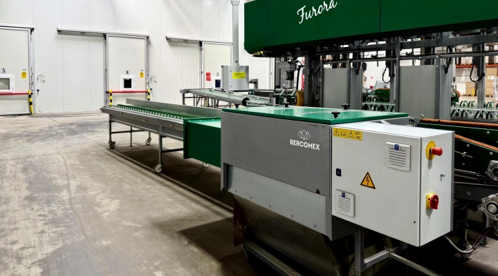 Bercomex Furora flower processing machine