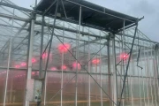 Besseling greenhouse roof cleaner 480 cm with docking and frame