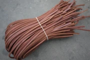 bindings (4)