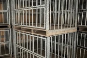 Boxes for cabage