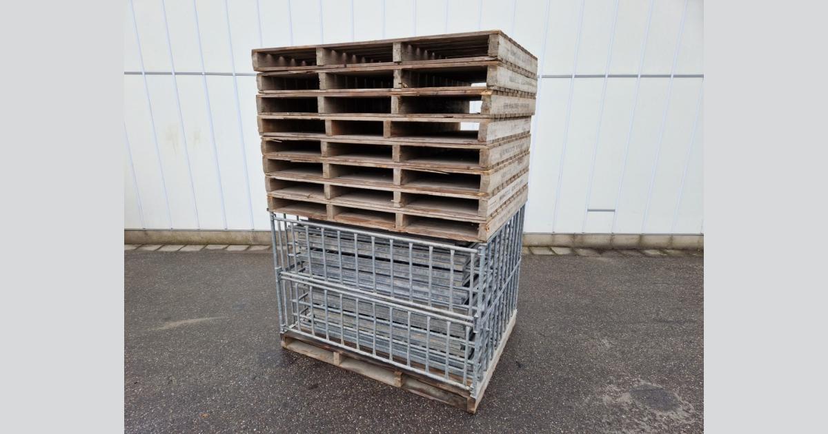 Boxes for cabbage • Duijndam Machines