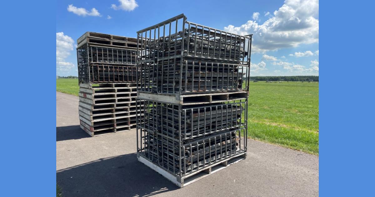 Boxes for cabbage • Duijndam Machines