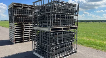 Cajas para col o repollo