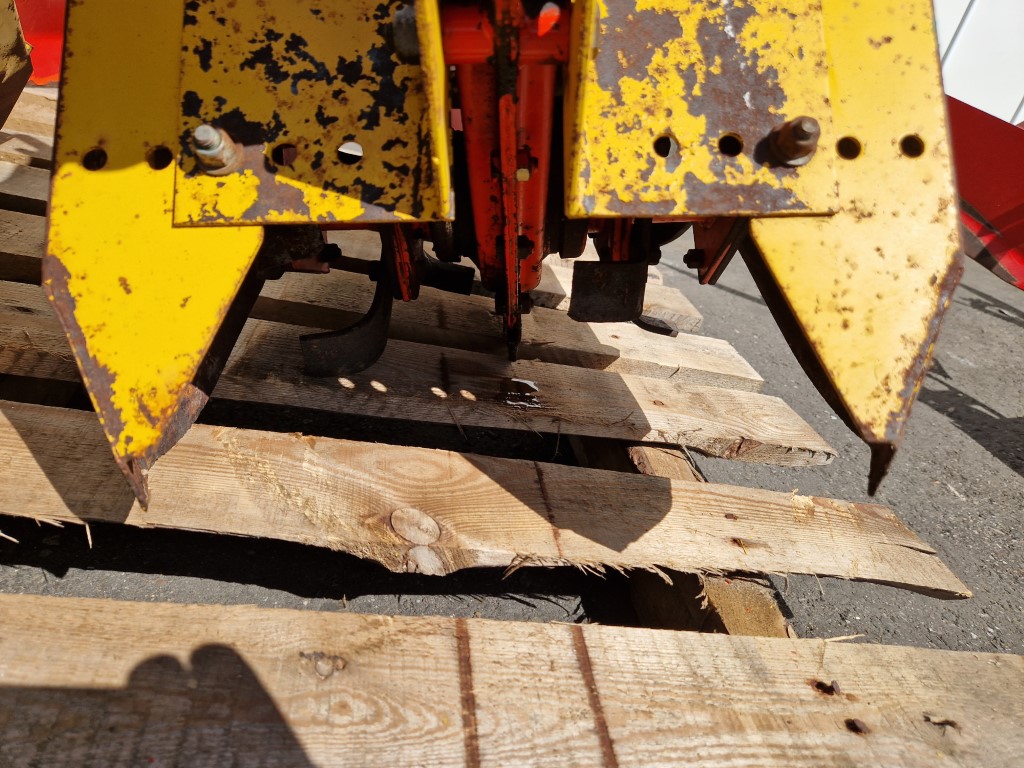 �������� ����������� Breviglieri � 6 ������