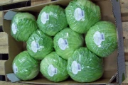 Brimapack Vepack 200-PHH flowpack for cabbage