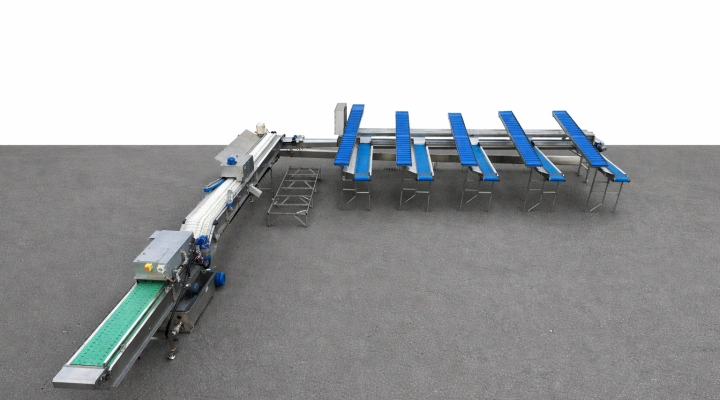 Christiaens asparagus sorting machine on thickness with washing machine