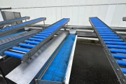 Christiaens asparagus sorting machine on thickness with washing machine