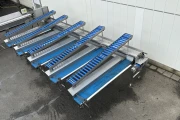 Christiaens asparagus sorting machine on thickness with washing machine