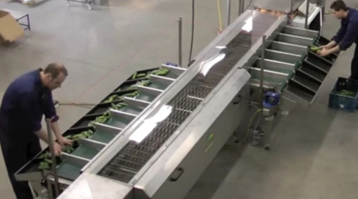 Christiaens sorting machine for mini cucumbers