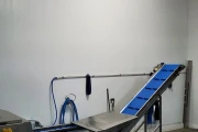 Christiaens leek washing/cutting/peeling machine