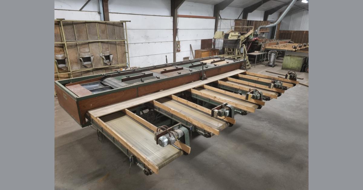 Compas AS120 S4 sorting machine for flower bulbs and Brussels sprouts ...