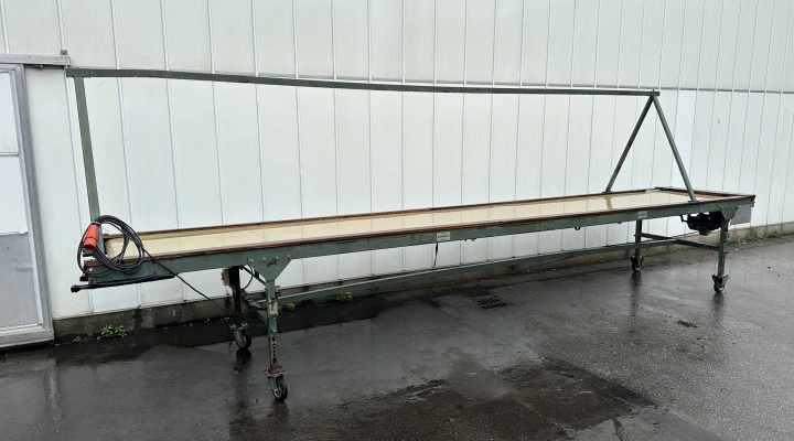 Compas inspection conveyor 615 x 100