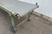 Conveyor 300 x 80 cm.