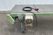 Conveyor 300 x 80 cm.