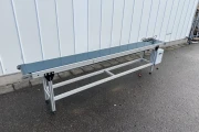Conveyor 310 x 31 cm