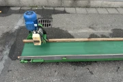 Conveyor 600 x 30 cm fixed speed