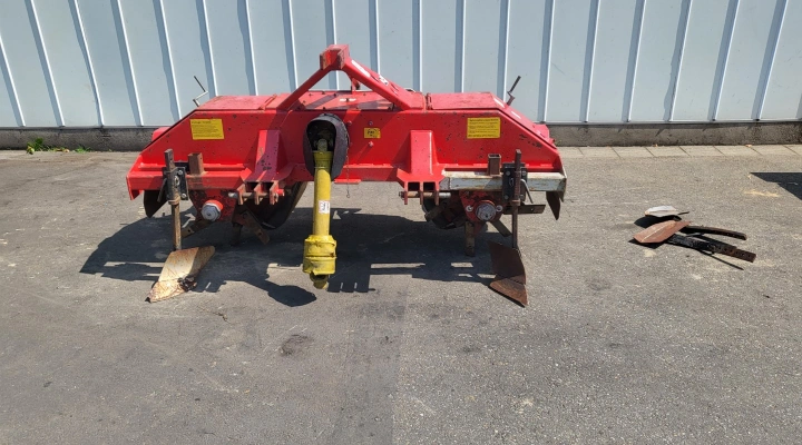 Dammkönig Dominus L aspergefrees