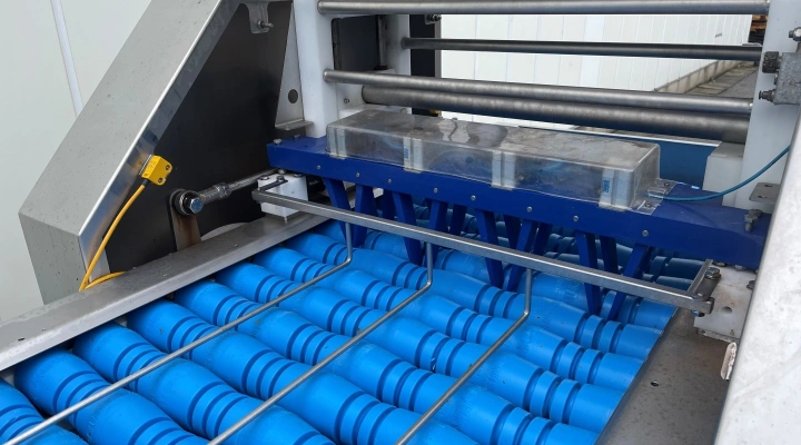 Dofra potato halving and quartering machine