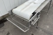 Femia conveyor 425 x 80 cm