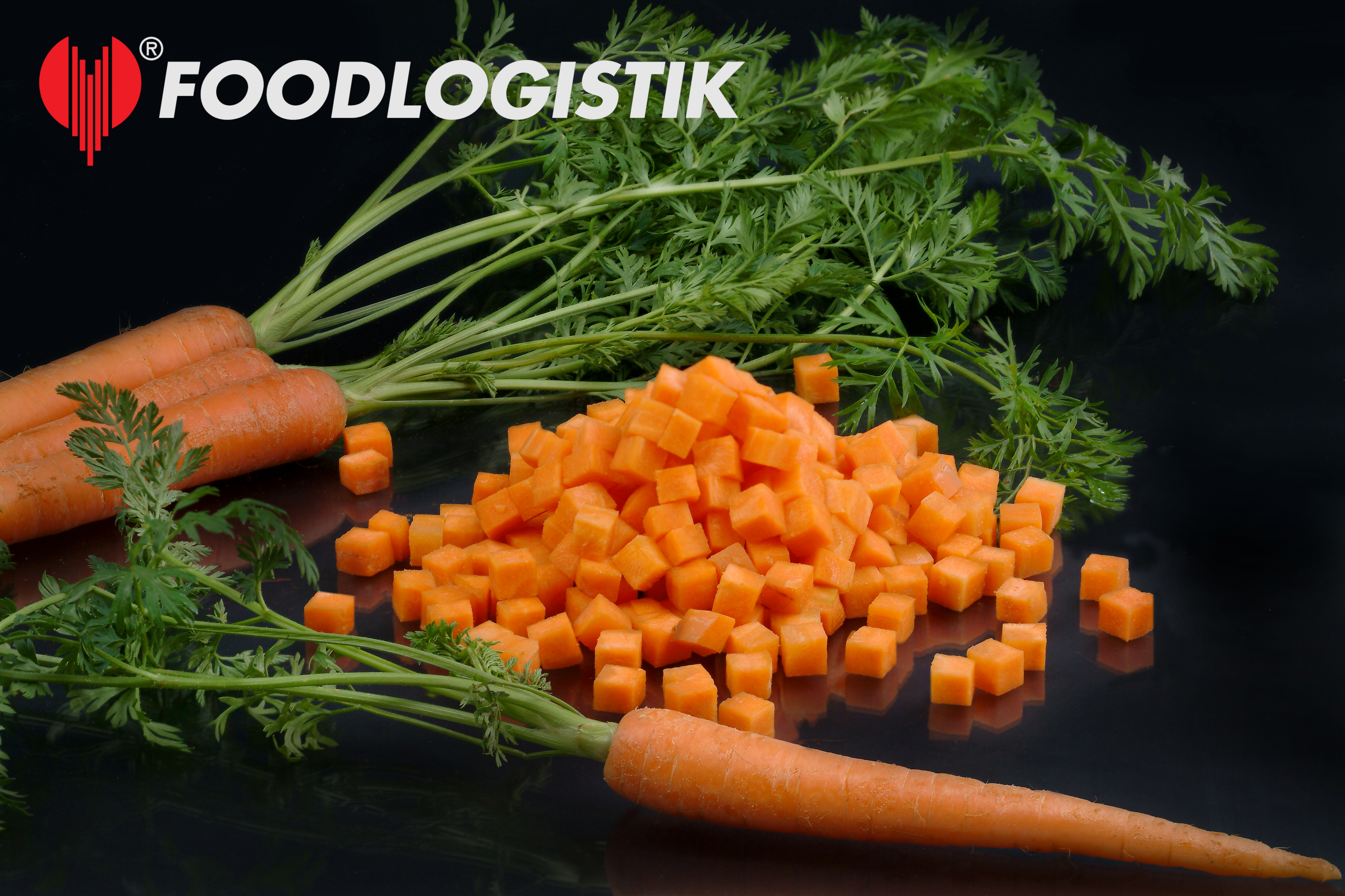 Foodlogistik ShreddR classic 140 ����������� ������ ��� �������, ������� � ��������