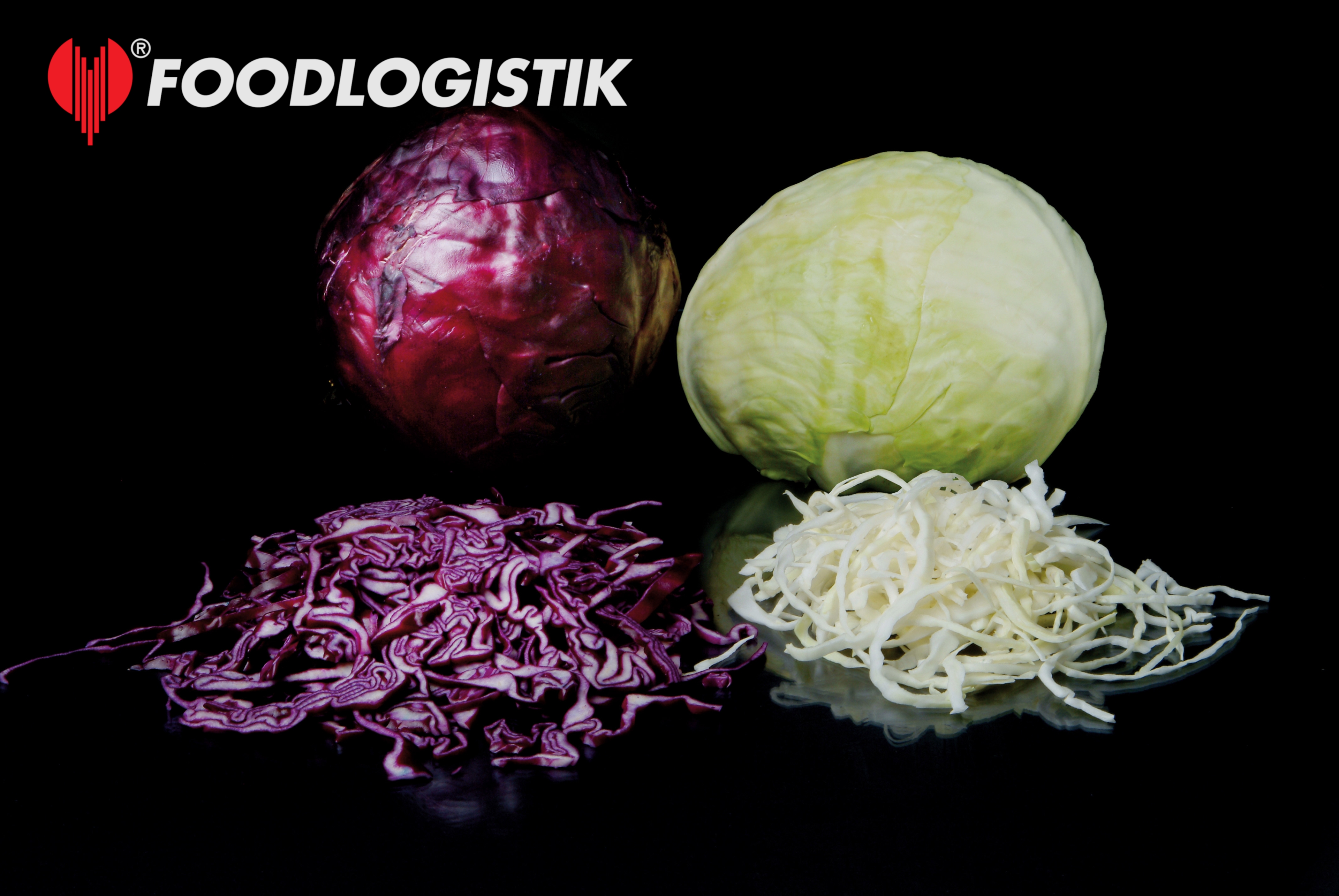 Foodlogistik ShreddR classic 140 ����������� ������ ��� �������, ������� � ��������
