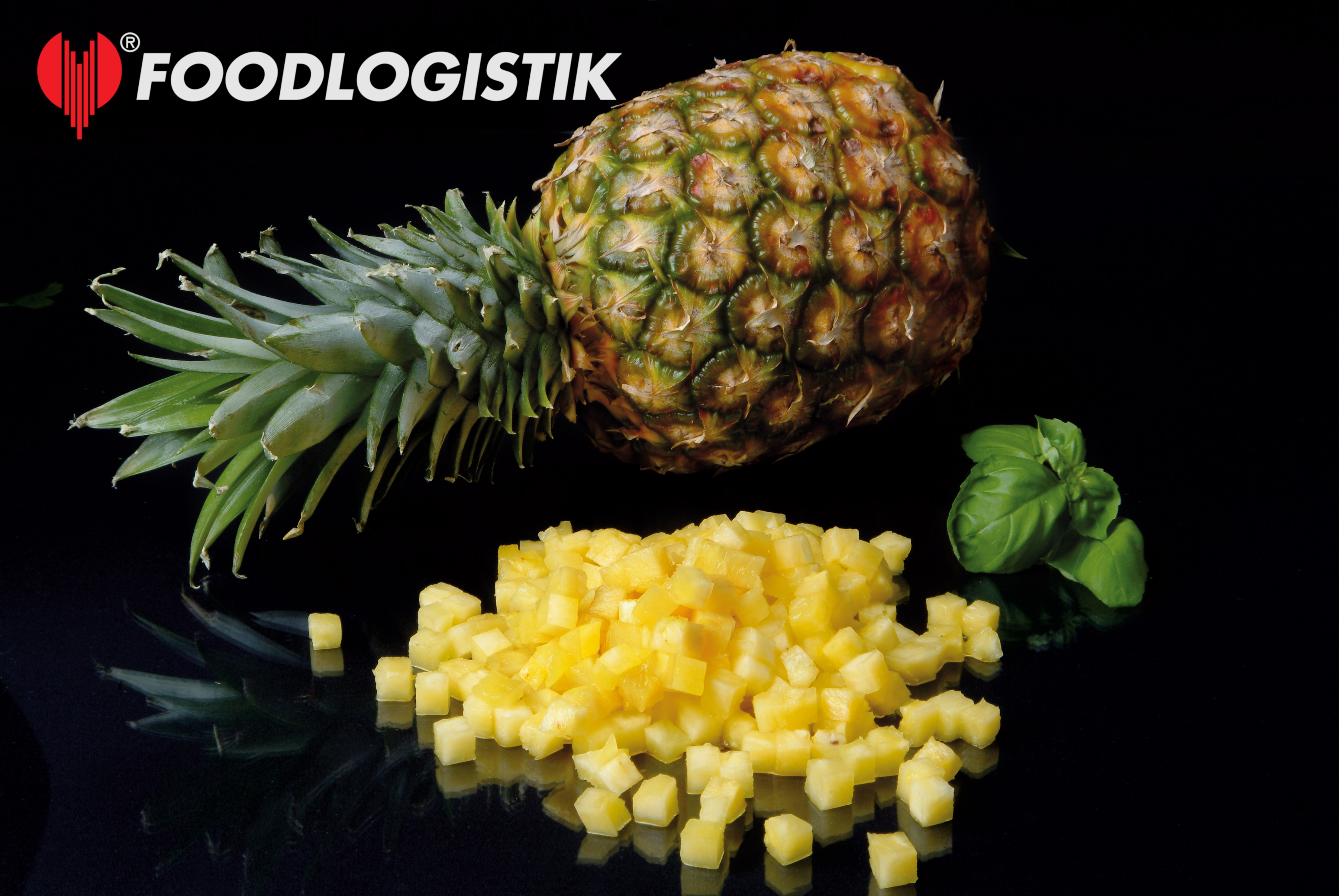 Foodlogistik ShreddR classic 140 ����������� ������ ��� �������, ������� � ��������