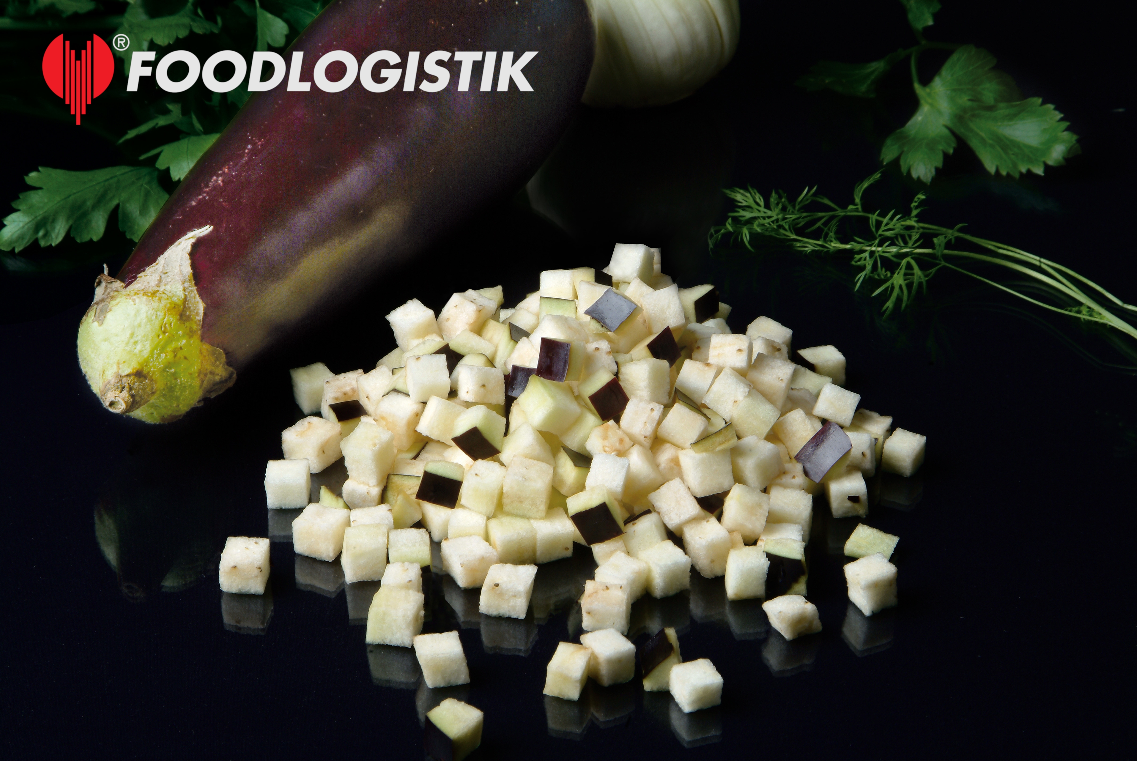 Foodlogistik ShreddR classic 140 ����������� ������ ��� �������, ������� � ��������