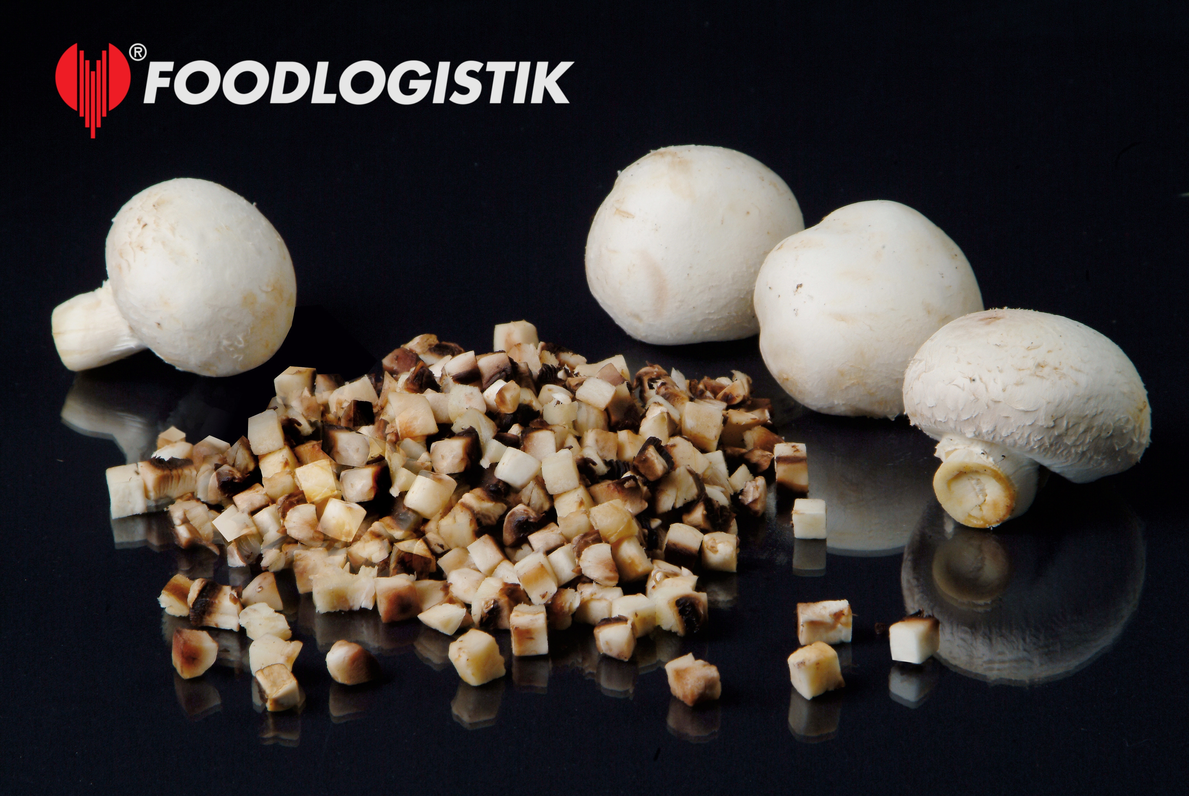 Foodlogistik ShreddR classic 140 ����������� ������ ��� �������, ������� � ��������