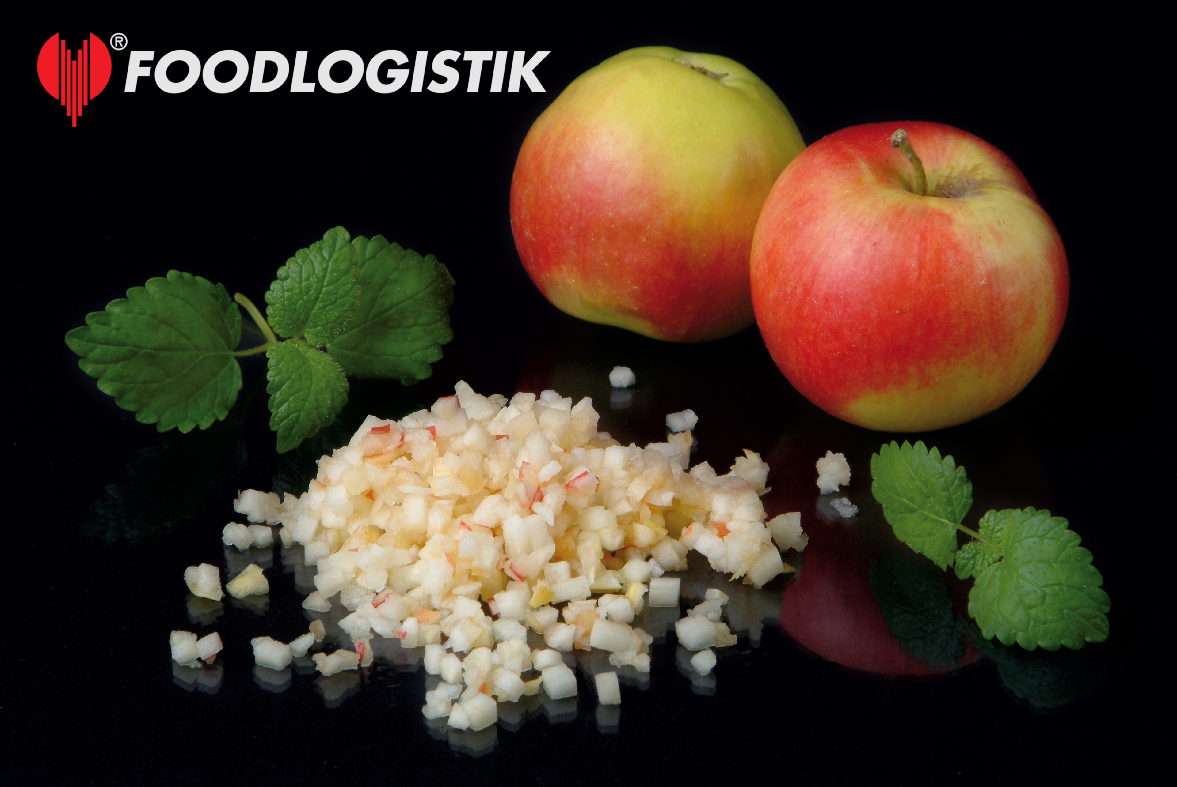 Foodlogistik ShreddR classic 140 ����������� ������ ��� �������, ������� � ��������