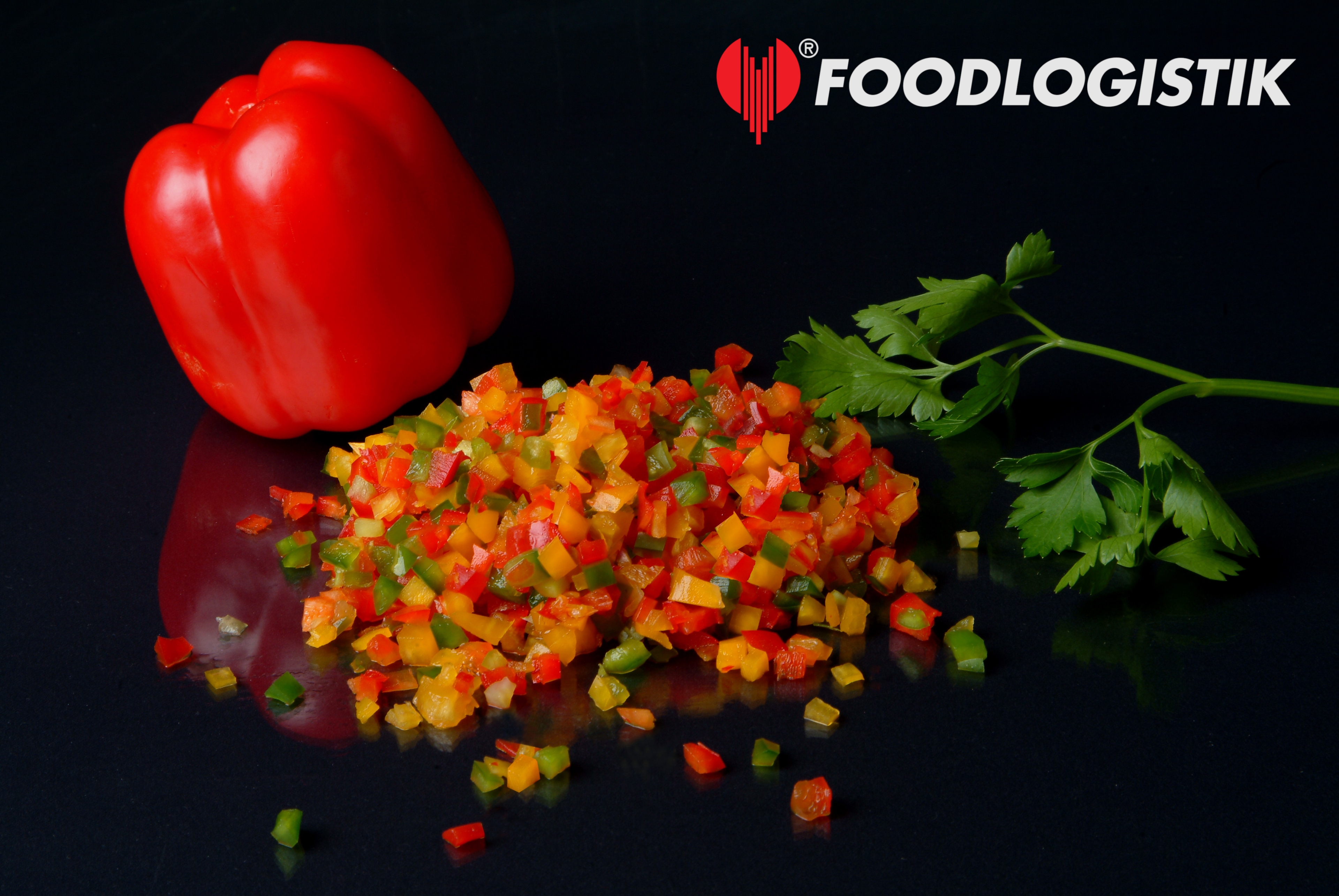 Foodlogistik ShreddR classic 140 ����������� ������ ��� �������, ������� � ��������