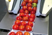 Jollypack filling trays with apples and tomatoes