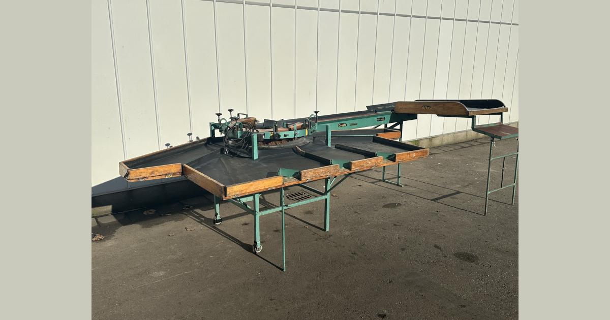 Greefa A3 sorting machine for apples and fruit • Duijndam Machines