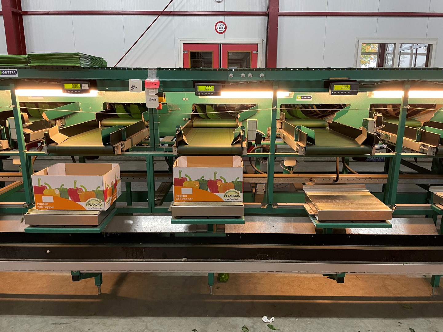 Greefa MSE 4-15 sorting machine