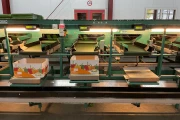 Greefa MSE bell pepper grading machine