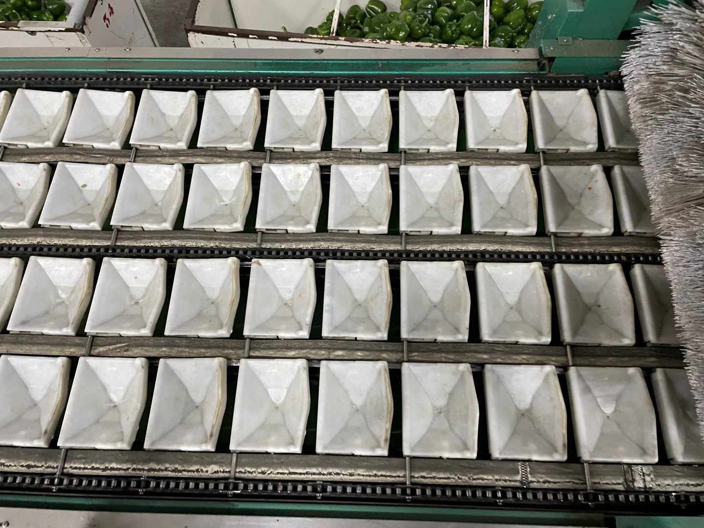 Greefa MSE 4-15 sorting machine