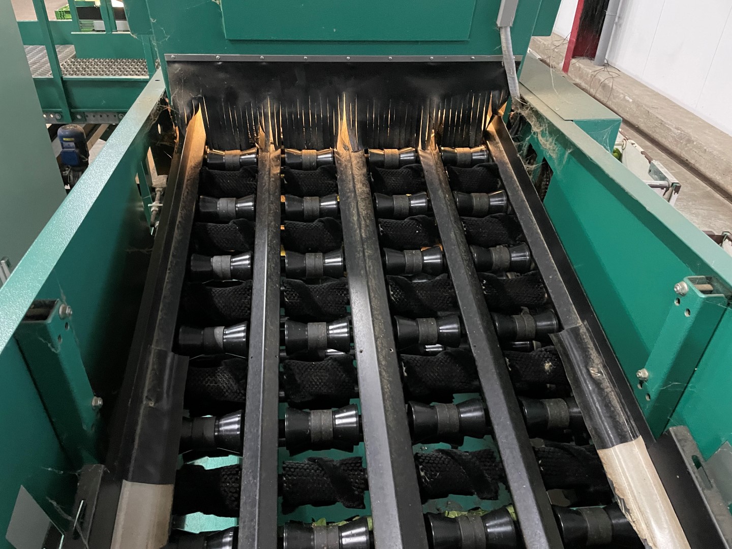Greefa MSE 4-15 sorting machine