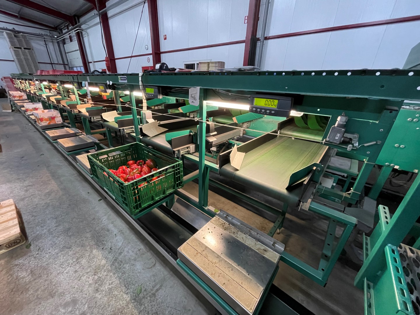 Greefa MSE 4-15 sorting machine