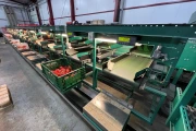 Greefa MSE bell pepper grading machine