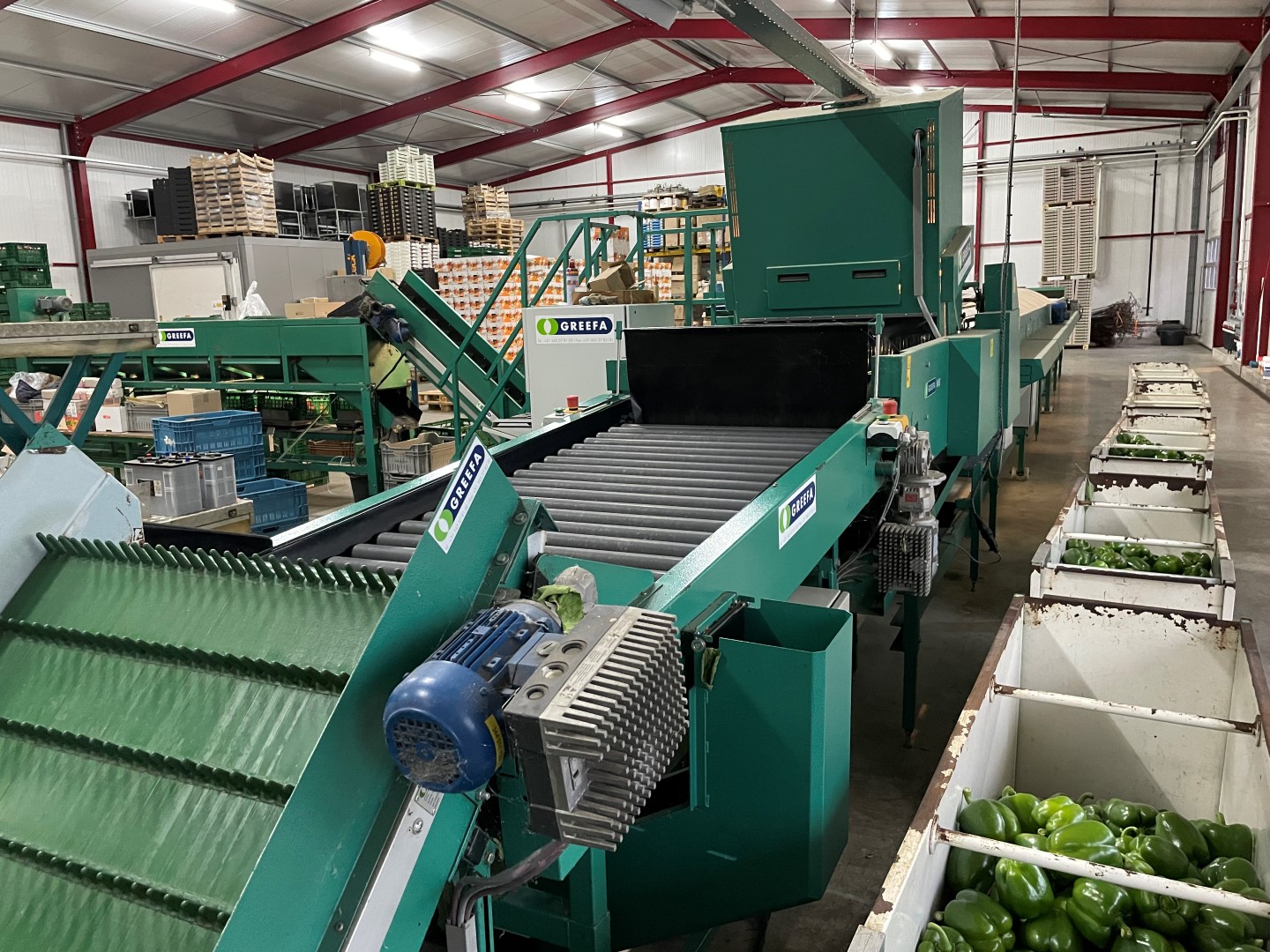 Greefa MSE 4-15 sorting machine
