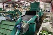 Greefa MSE bell pepper grading machine