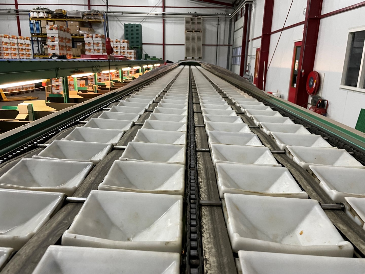 Greefa MSE 4-15 sorting machine
