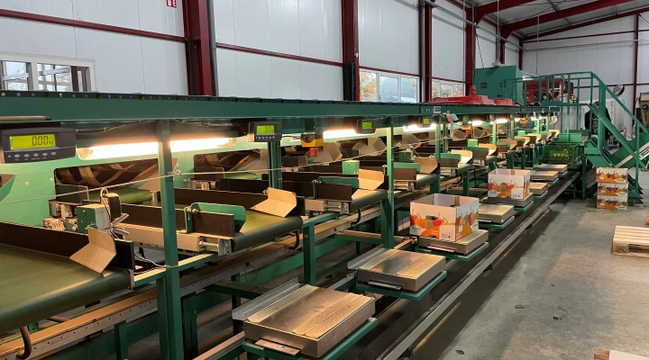 Greefa MSE bell pepper grading machine