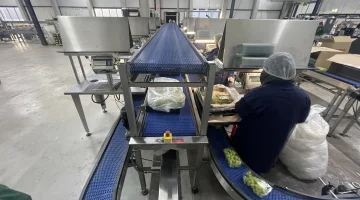 Greymans Paktech linea di produzione e confezionamento con bilance