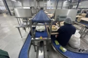 Greymans Paktech production and packaging line with weighers